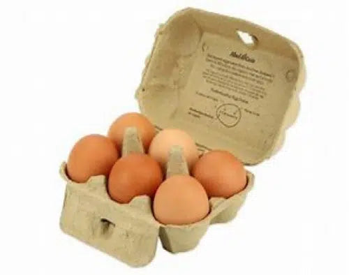 6 PACK FREE RANGE EGGS